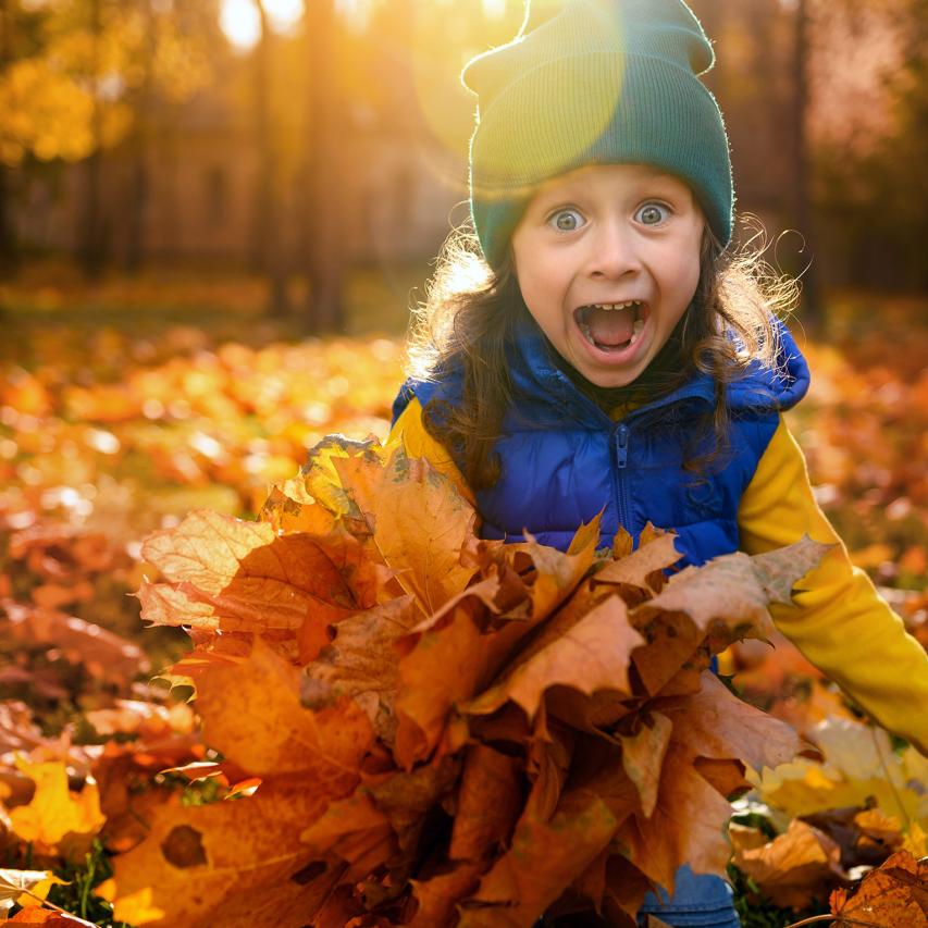 2025 Fall Program Guide